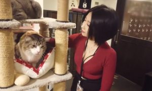 【レンタル彼女】レンタル彼女史上最強に色気のある美巨乳お姉さん♥バイオハザードのエイダんぼような美貌を持ったホンモノ美人素人とちゃラブデートの後にズッポリハメ撮り♪