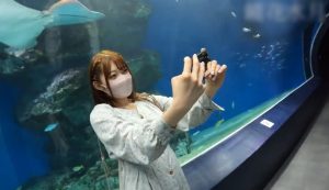 【美少女ハメ撮り】【神回】【高画質】レジェンド級に可愛い素人美少女お嬢様とのえっちなハメ撮り撮影がたまらない♡エステ通いの美しい身体をたっぷり味わえちゃう♪